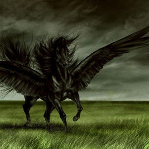 Meet your Posher, Deanna